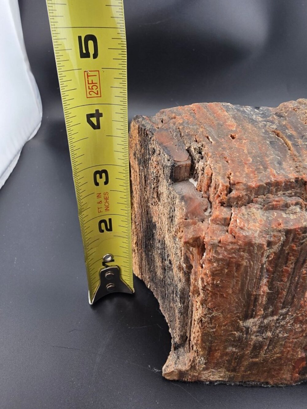 Petrified Wood Fossil Specimen With Rich Red & Black Hues, Polished/Raw -2.1 lbs - Picture 15 of 16